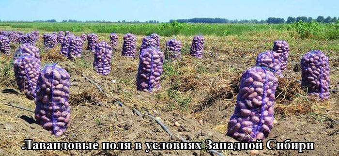 Підбірка прикольних фото №1222 (61 фото)