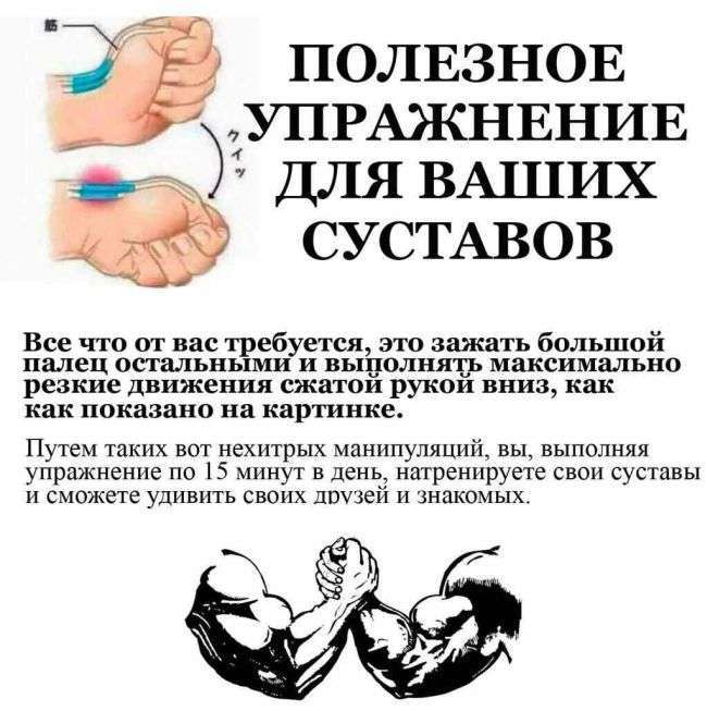 Підбірка прикольних фото №1223 (61 фото)