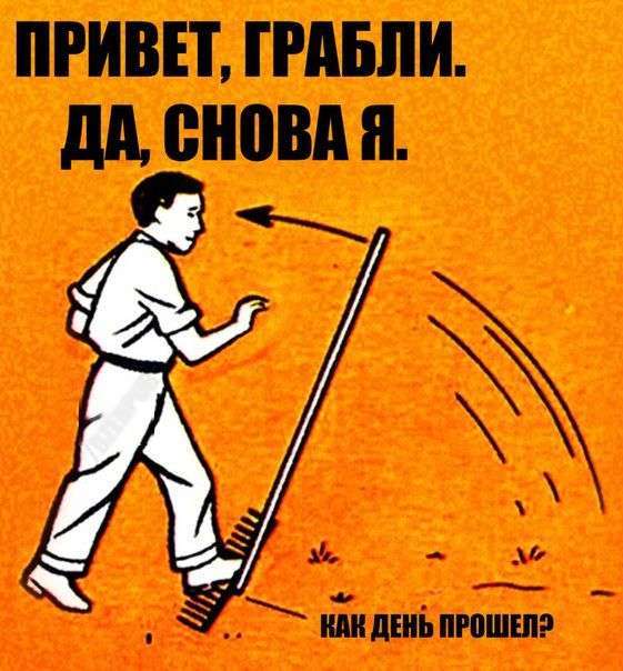 Підбірка прикольних фото №1225 (63 фото)