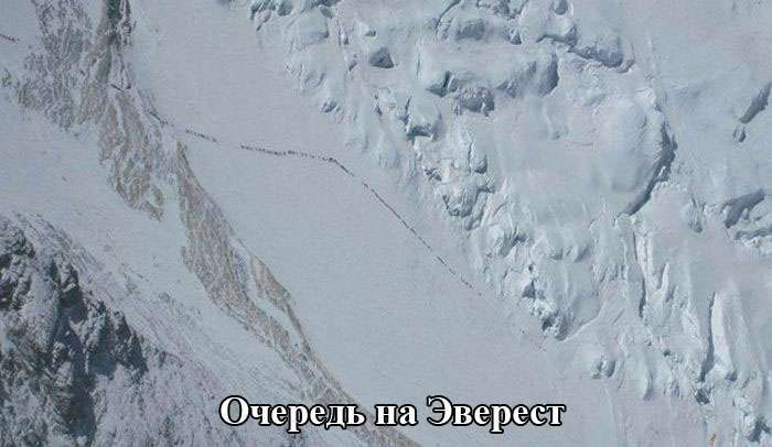 Підбірка прикольних фото №1225 (63 фото)