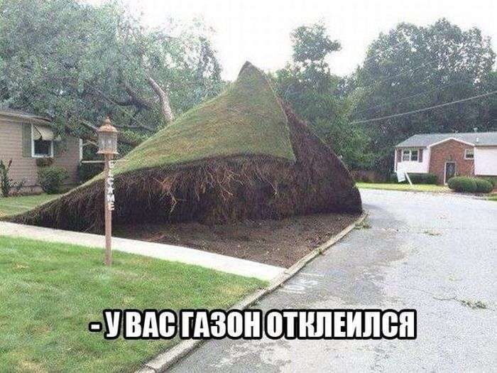 Підбірка прикольних фото №1226 (70 фото)