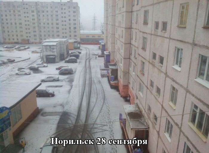 Підбірка прикольних фото №1226 (70 фото)