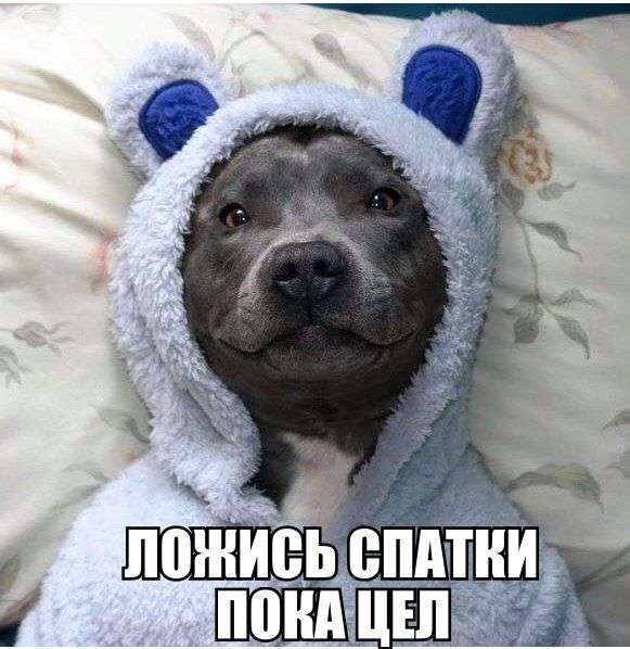 Підбірка прикольних фото №1227 (60 фото)