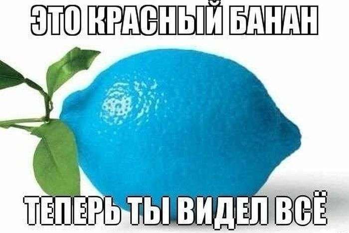 Підбірка прикольних фото №1229 (60 фото)