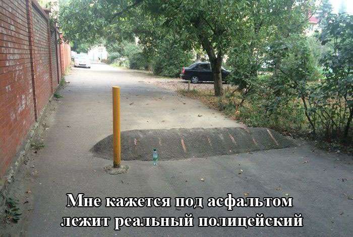 Підбірка прикольних фото №1229 (60 фото)