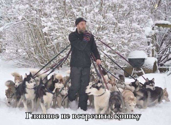 Підбірка прикольних фото №1230 (68 фото)
