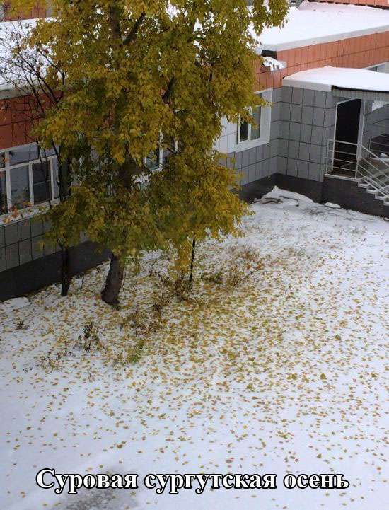 Підбірка прикольних фото №1231(64 фото)