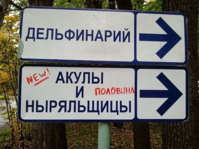 Народний креатив (34 фото)