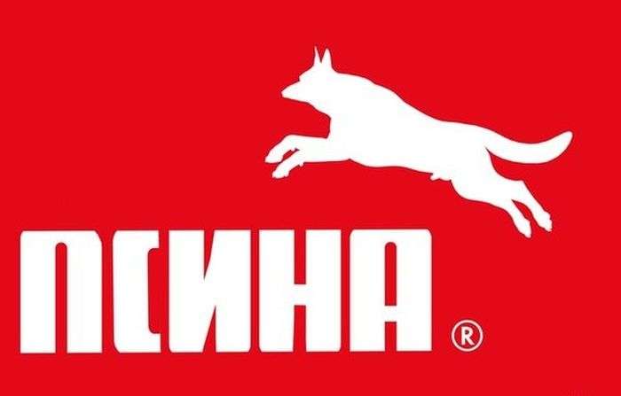 Підбірка прикольних фото №1236 (71 фото)