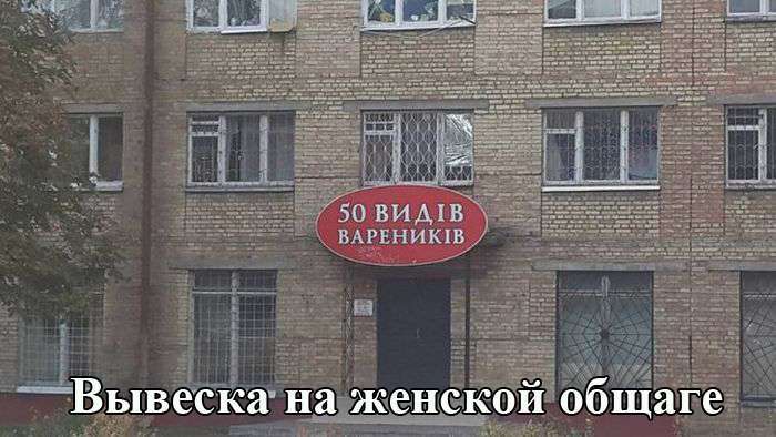 Підбірка прикольних фото №1238 (63 фото)