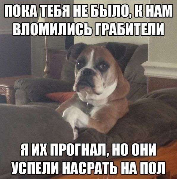 Підбірка прикольних фото №1238 (63 фото)