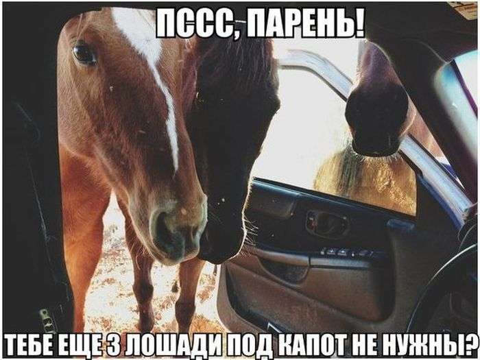 Чіткі автоприколы (34 фото)