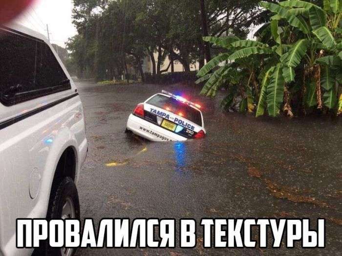 Чіткі автоприколы (34 фото)