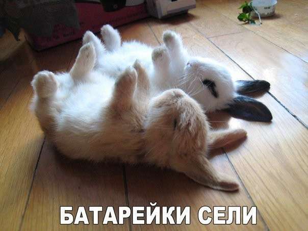 Смішні фотомемы (24 фото)