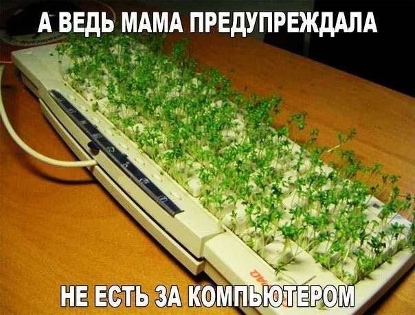 Смішні фотомемы (24 фото)