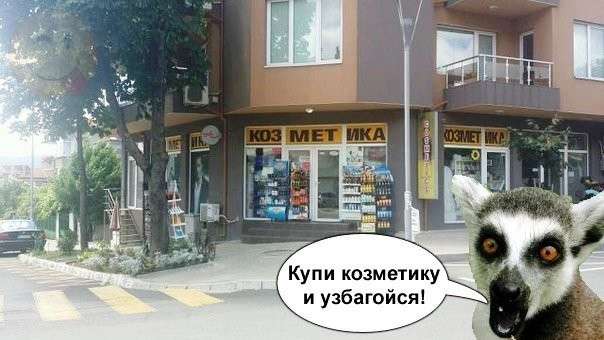 Смішні фотомемы (24 фото)