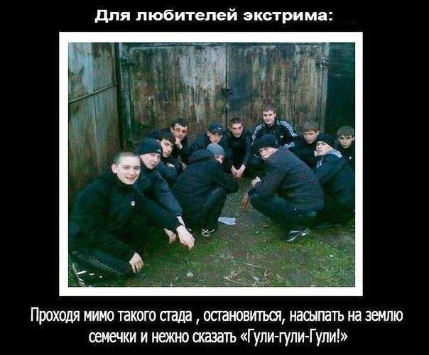 Смішні фотомемы (24 фото)