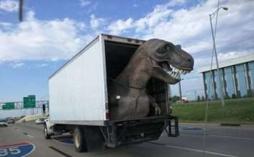 Підбірка прикольних фото №1188 (102 фото)