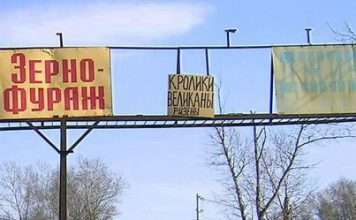 Маразми (51 фото)