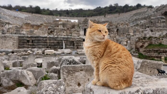 9bdc8262-85be-4378-8c7a-ad7cae7d80bd