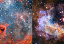 Вебб і Хаббл розкривають нові деталі туманності Вестерлунд 2