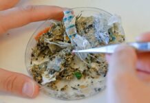 Мікробульбашки прискорюють забруднення водойм мікропластиком