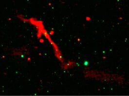 Стародавня чорна діра прокидається після 100 мільйонів років тиші