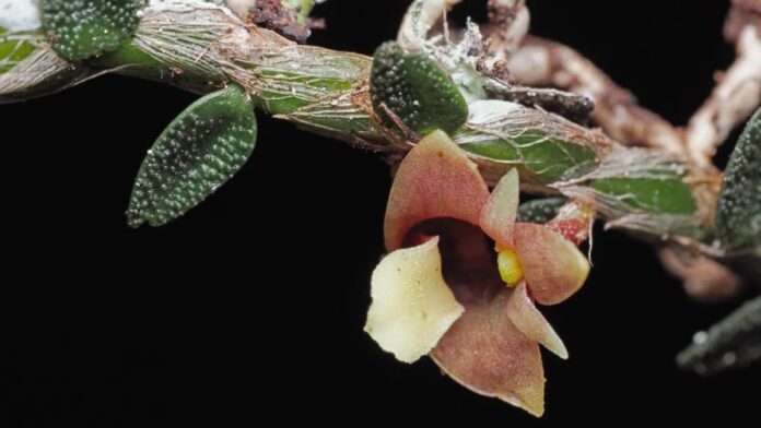 8cb259ec-53db-4886-9950-e8ff3e683cf0