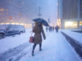 Прогнози зимових штормів: чому такі невизначені?