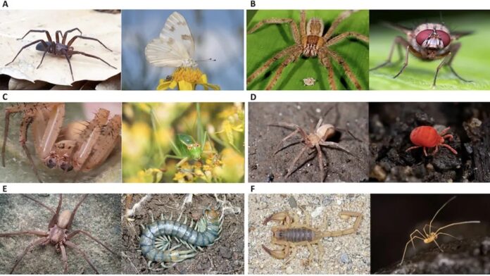 18f19650-70a4-4bee-bfc3-313c31dbeeab