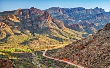 Приватизація державних земель: хибне вирішення житлової кризи