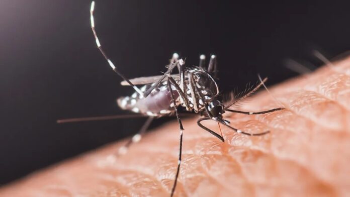 40c79b24-64b7-4441-b4a7-a8c997347e31