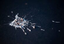 Пташиний послід заснував імперію до чорнила