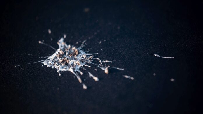 6208b1e0-d5a5-4b3b-aa31-c5ed16a6e35e