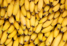 Прорив у Дослідженнях Бананів Дає Надію Проти Загрози Зникнення