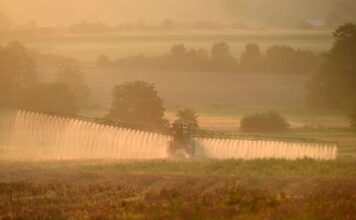 Спори навколо гліфосату: ризики для здоров’я, політичні розбіжності та наукова невизначеність