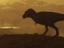 Гігантська Нога Тиранозавра Розкриває Існування Стародавнього Велика