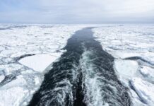 Арктический Морской Лёд Достиг Рекордного Минимального Зимнего Минимума
