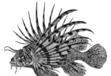 Science, Sport, and Industry: Snapshots from 150 Years of Progress