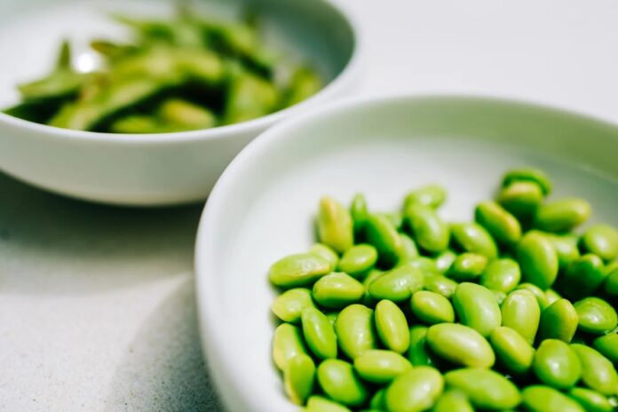 1c43240a-037e-479a-8305-9dbdf03e36db