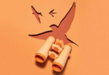 От бюджетных до эксклюзивных: что на самом деле влияет на цену бинокля?