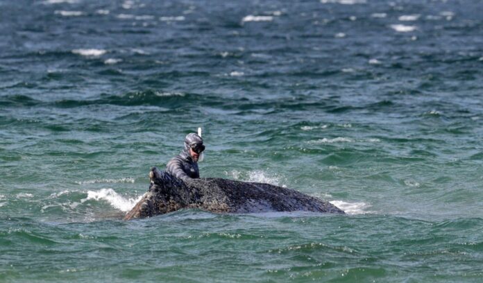 d604c97e-920e-4d24-b307-219027232344