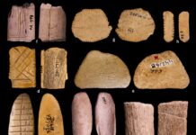 Стародавнє Коріння Випадковості: Азартні Ігри Почалися 12 000 Років Назад в Америці