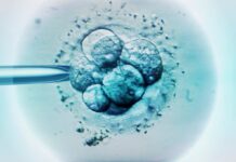 AI en IVF: hype versus hoop