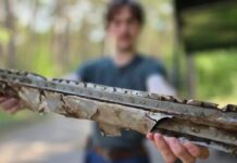 Уламки літаків союзників часів ВВВ знайдені збіркою чорниці у Швіноуйсьці