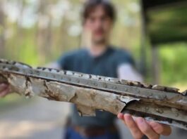 Vraky spojeneckých letadel z druhé světové války nalezené ve sbírce borůvek poblíž Swinoujscie