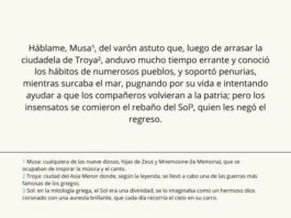 Comprendre les pieds de page : explication des numéros de page et des citations
