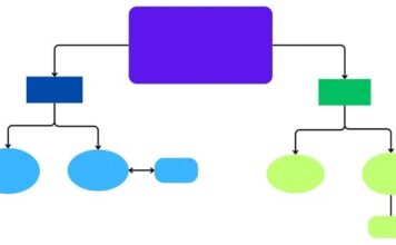 Hoe concept mapping chaotische notities omzet in georganiseerde informatie